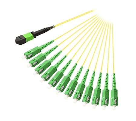 1M MTP/APC Female to 12 SC/APC Simplex Fanout Cable – OS2 Single Mode, 12 Fibers